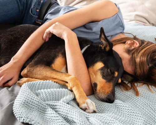 Posso dormir com meu pet? É seguro? clínica veterinária 24h