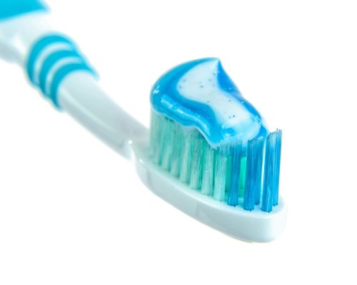 Posso escovar os dentes do meu pet com pasta de humanos? clínica veterinária 24h