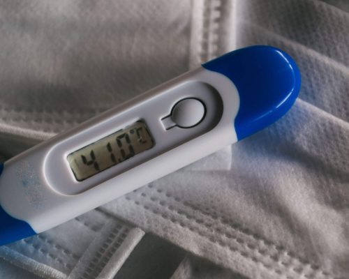 Como saber se meu pet está com febre? clínica veterinária 24h