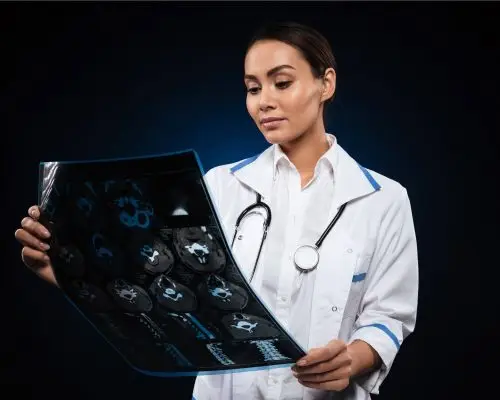 Quando levar o pet em um nefrologista? clínica veterinária 24h