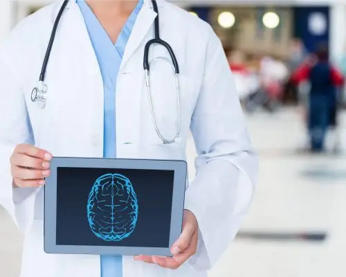 Quando o pet precisa de um neurologista? clínica veterinária 24h