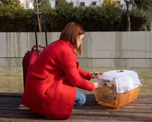 O que fazer com o pet durante as férias? clínica veterinária 24h
