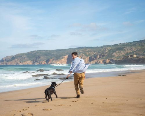 Posso levar o pet na praia? clínica veterinária 24h