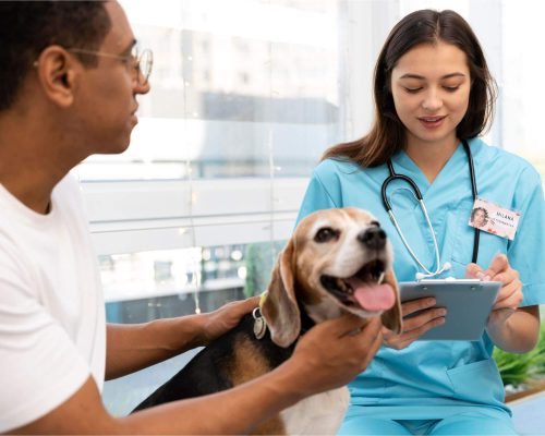 O que o pet sente ao ir ao veterinário? clínica veterinária 24h