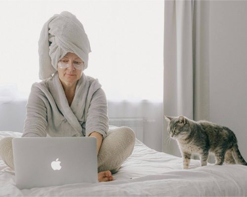 Meu pet me segue em todos os lugares: o que isso significa? clínica veterinária 24h