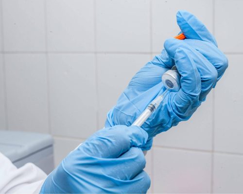 Vacina de raiva para cachorro: Quando fazer e quanto custa? clínica veterinária 24h