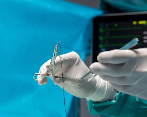 Hospital veterinário para cirurgias complexas: o que saber, clínica veterinária 24h