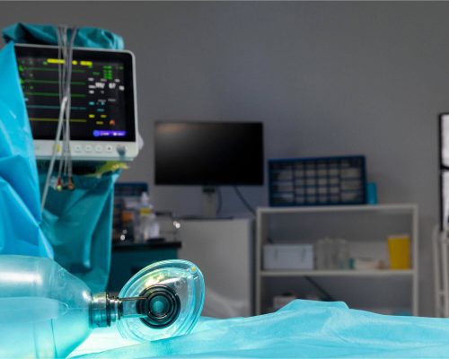 Estrutura completa de hospital veterinário em Maringá: o que deve ter, clínica veterinária 24h