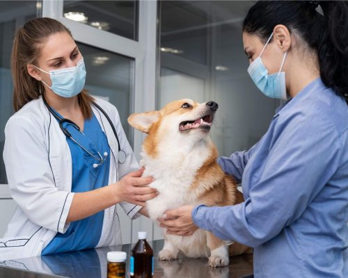 Insuficiência renal: como um especialista muda o tratamento