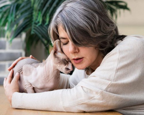 Como ajudar o pet que tem ansiedade de separação, clínica veterinária 24h