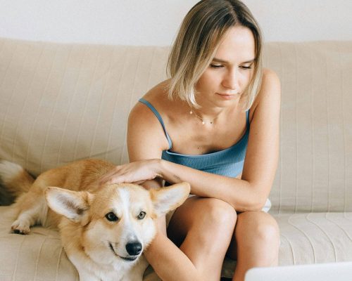 O que avaliar antes de confiar numa clínica veterinária? clínica veterinária 24h