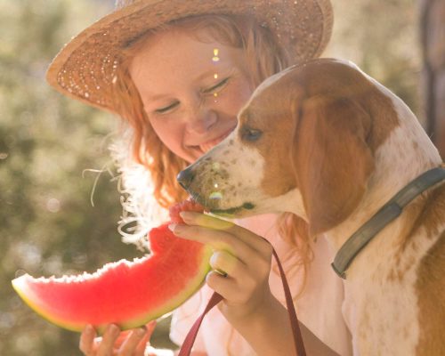 Quais alimentos naturais posso oferecer como petisco? clínica veterinária 24h