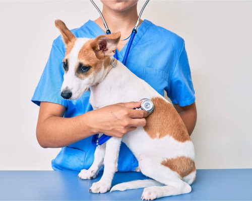 Como pequenos sintomas viram grandes sustos,