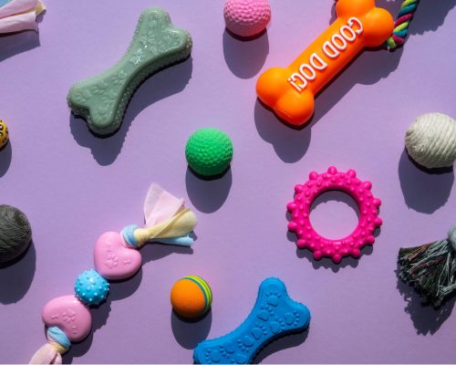 O que fazer quando o pet engole brinquedos? clínica veterinária 24h