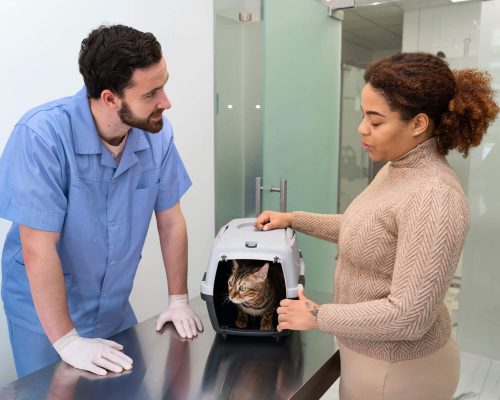 Como saber se uma clínica veterinária é confiável? clínica veterinária 24h