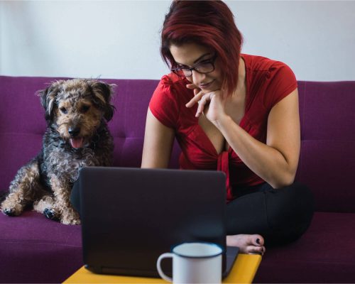 Quando procurar clínica veterinária para check-up do pet, clínica veterinária 24h