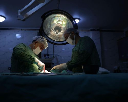 Cirurgias que não podem esperar até amanhã, clínica veterinária 24h