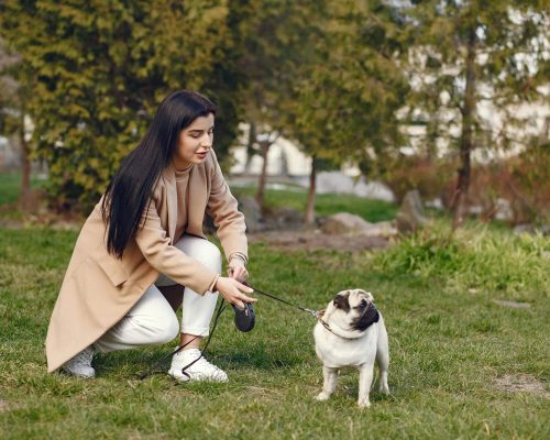 Como proteger seu pet de carrapatos em áreas verdes da cidade, clínica veterinária 24h