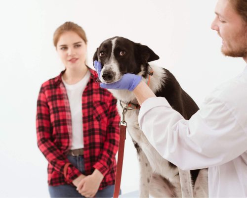 Convulsão única x epilepsia: diferenças, Convulsão única x epilepsia: diferenças