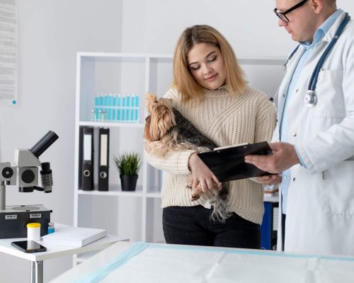 O que significa “enzimas hepáticas alteradas” no exame? clínica veterinária 24h