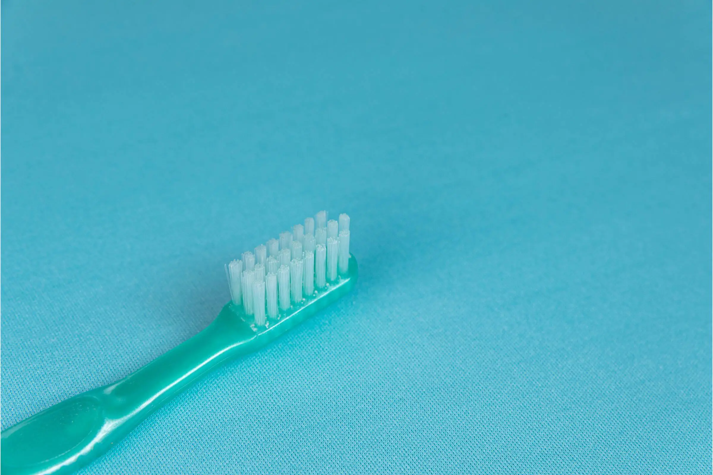 Escovar os Dentes do Gato: Importância e Cuidados Essenciais, clínica veterinária 24h