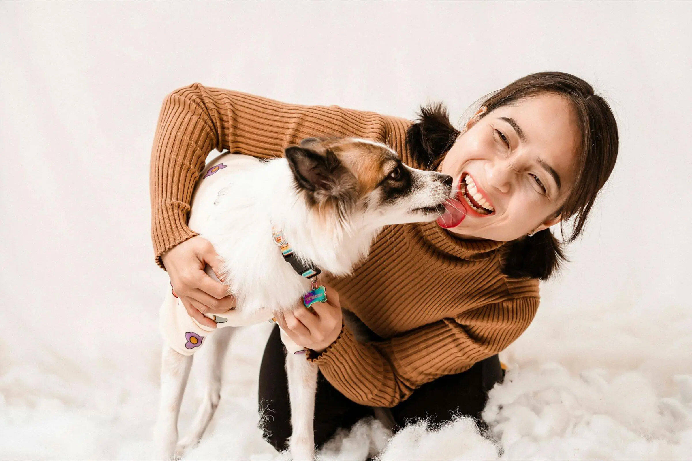 Como o pet demonstra amor pelo tutor? clínica veterinária 24h