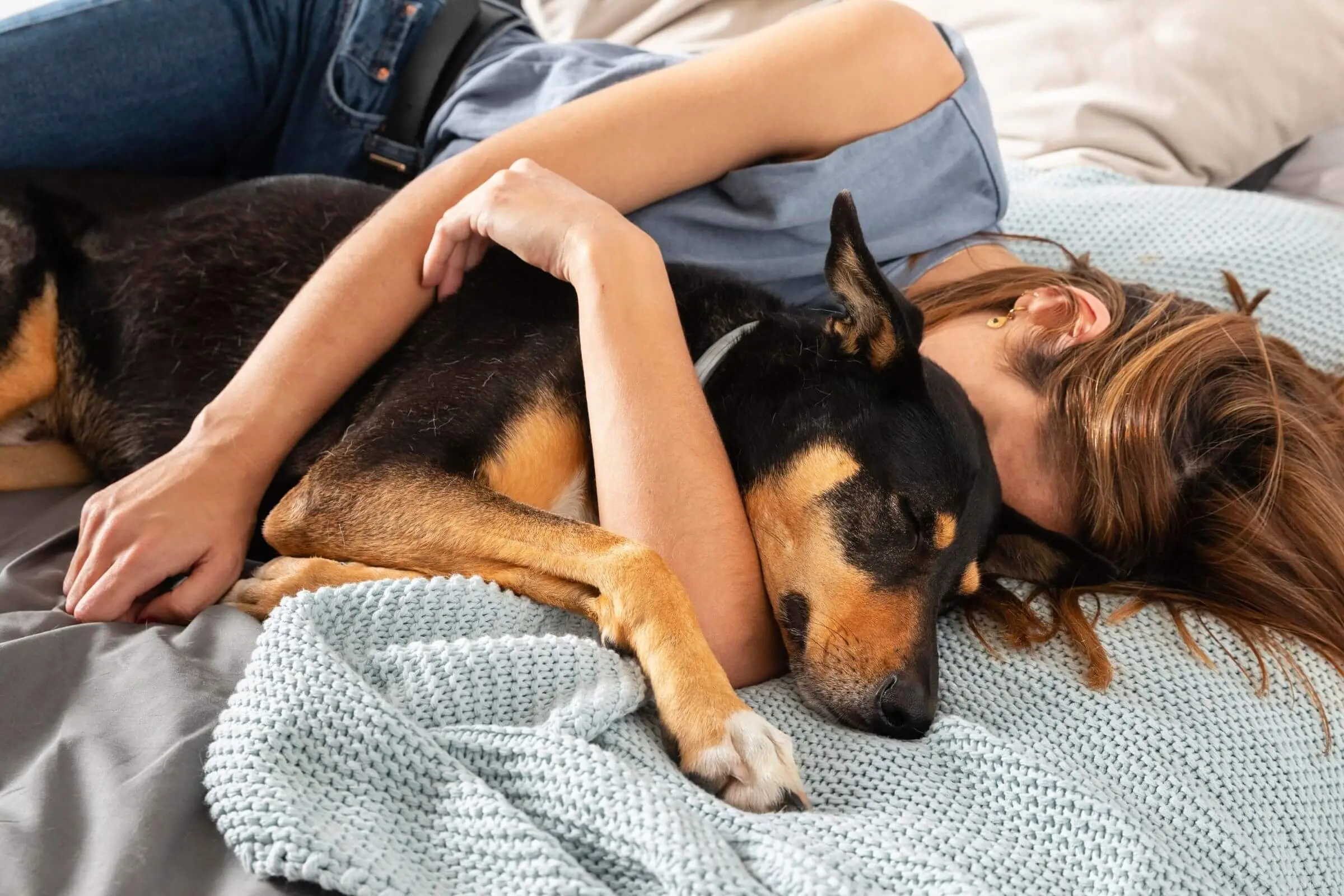 Posso dormir com meu pet? É seguro? clínica veterinária 24h