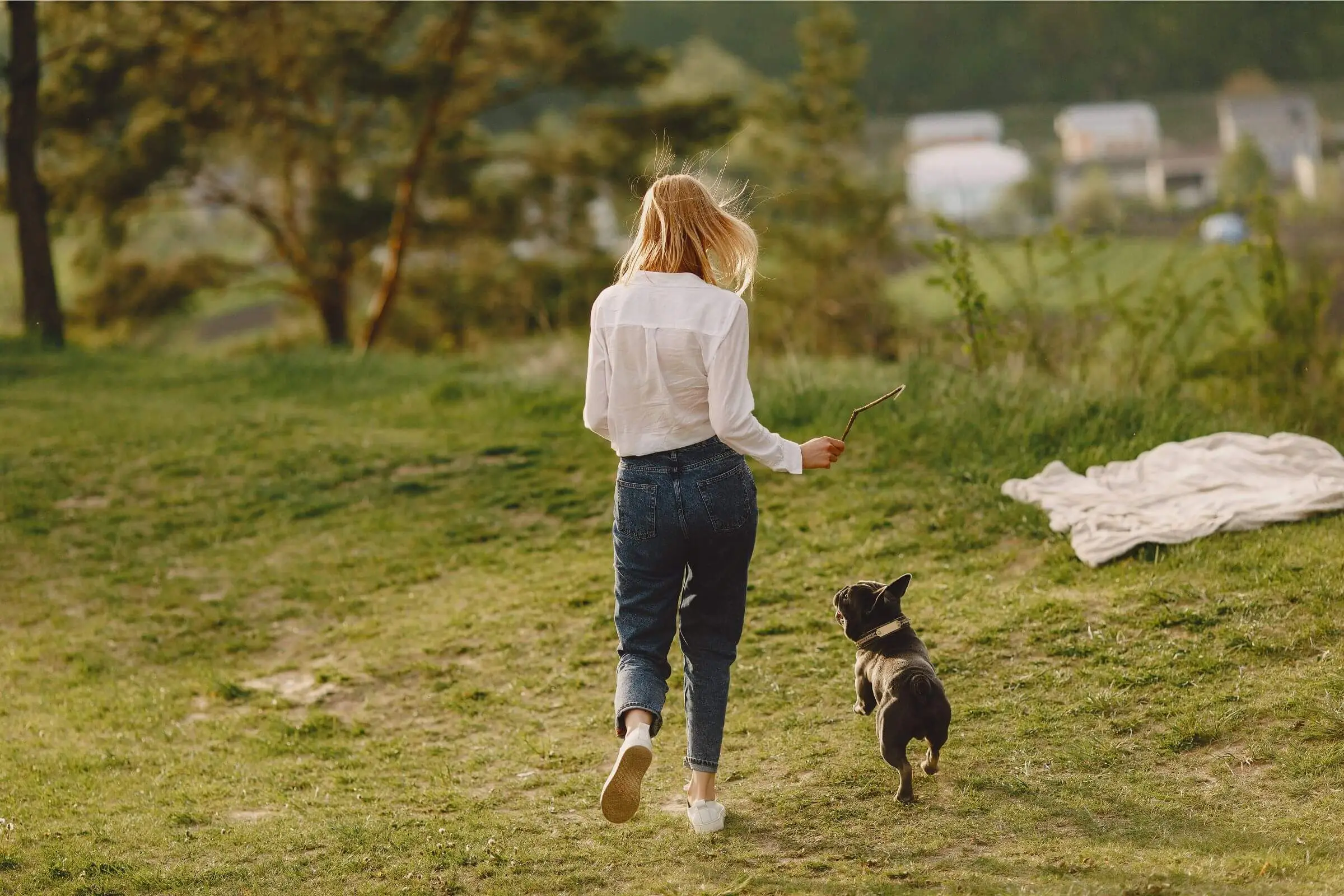Quando posso começar a passear com meu cachorro filhote? clínica veterinária 24h