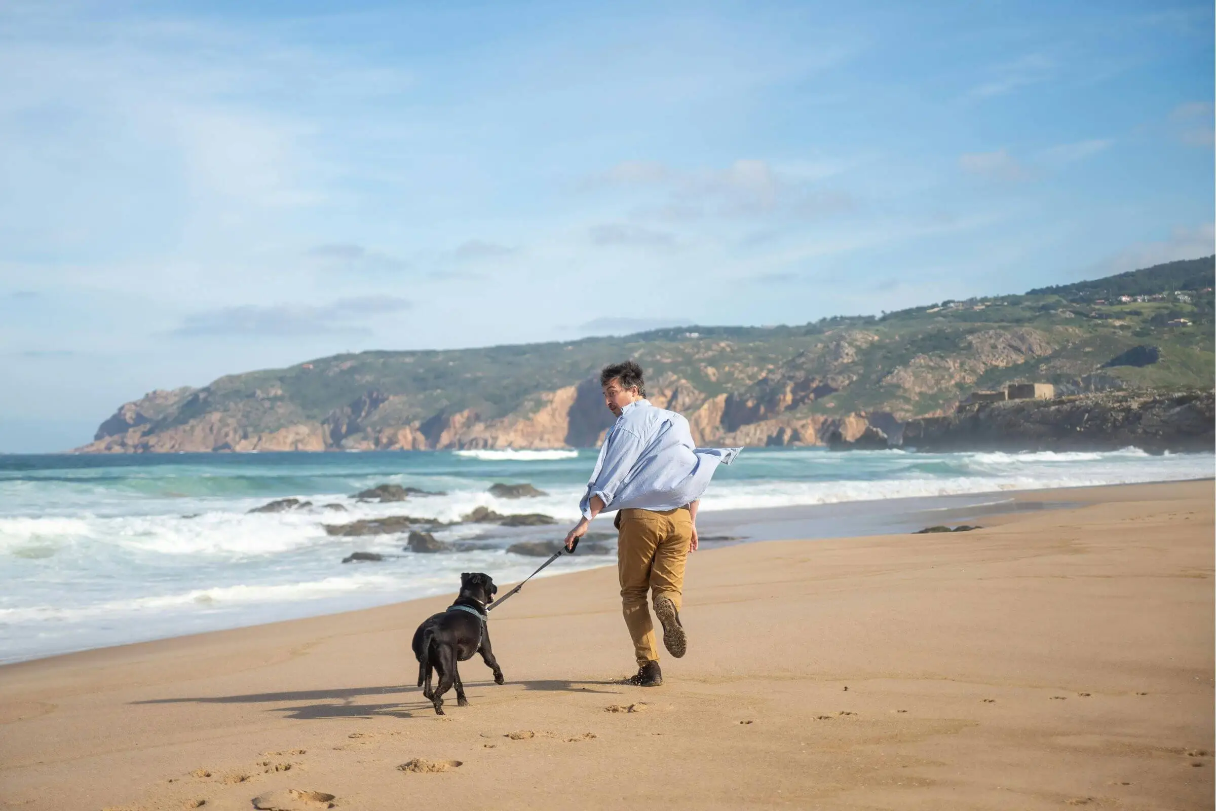 Posso levar o pet na praia? clínica veterinária 24h