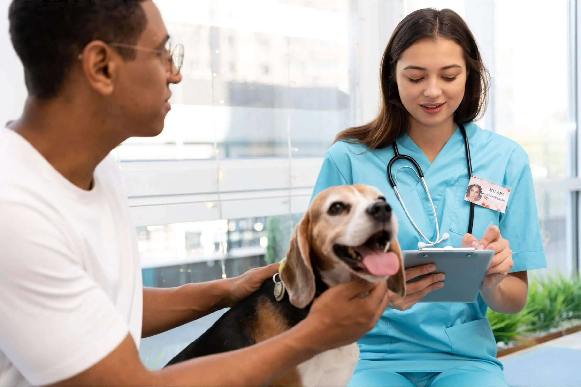 O que o pet sente ao ir ao veterinário? clínica veterinária 24h
