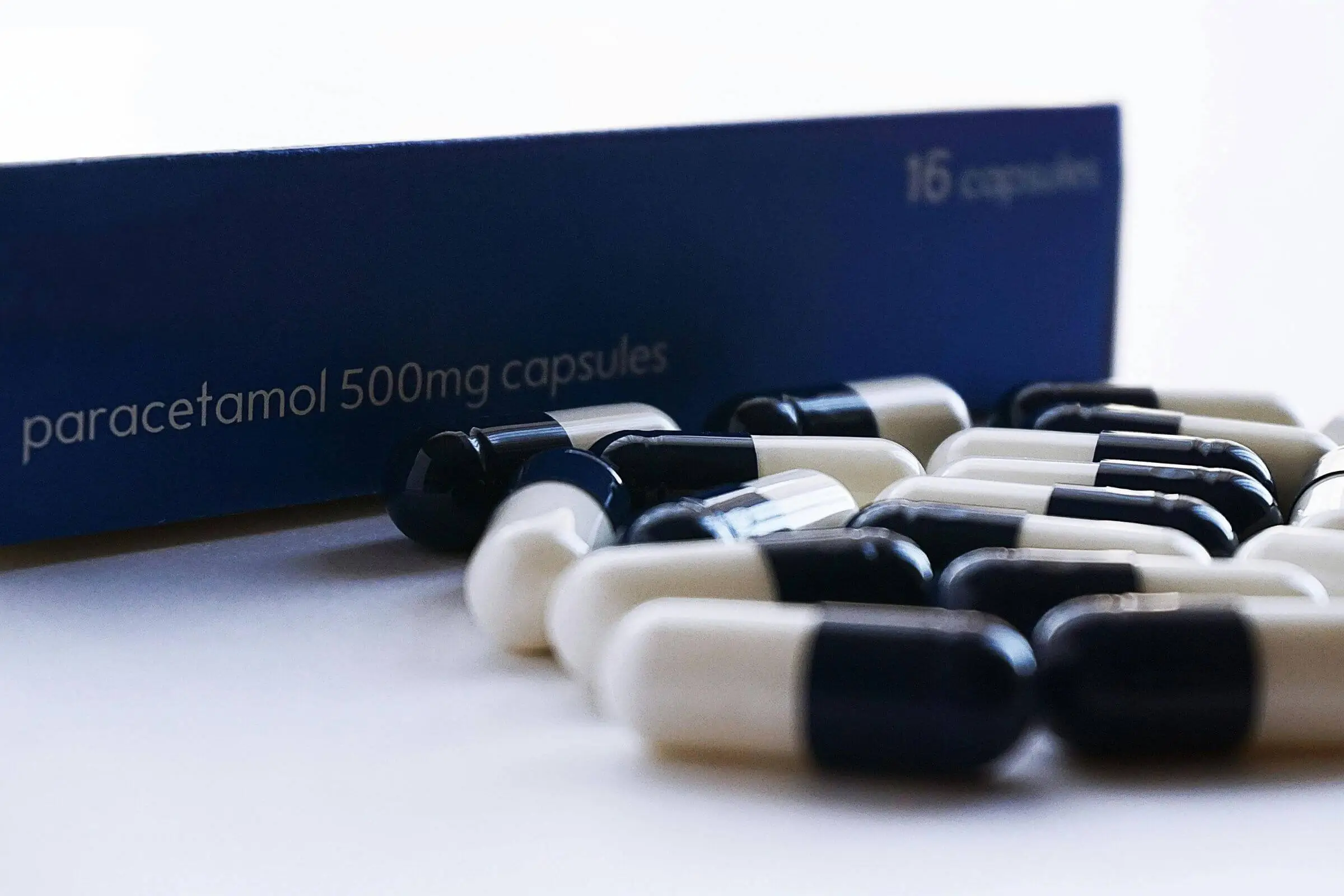 Posso dar paracetamol para cachorro? clínica veterinária 24h