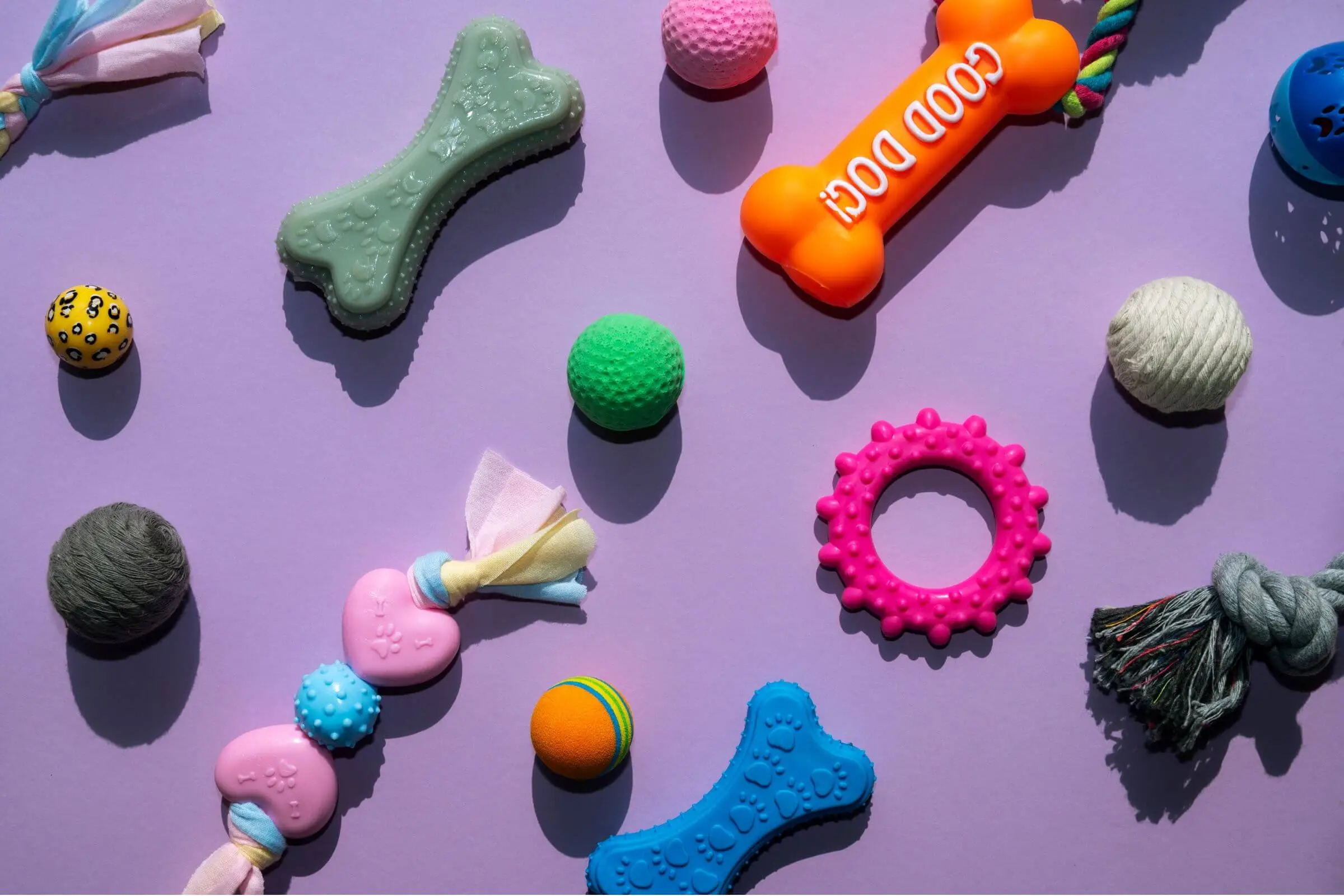 O que fazer quando o pet engole brinquedos? clínica veterinária 24h