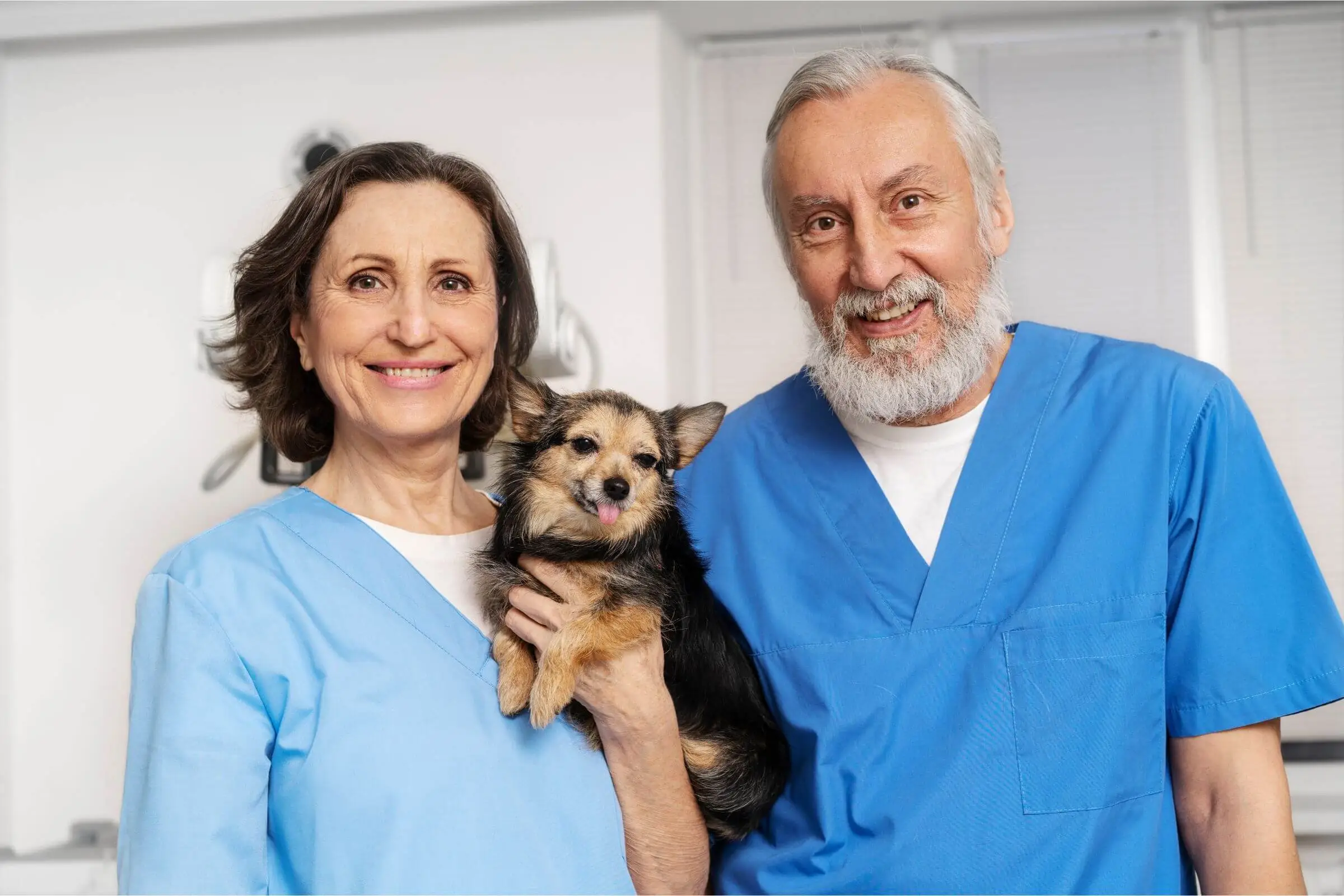 É melhor consultar um clínico geral ou um especialista? clínica veterinária 24h