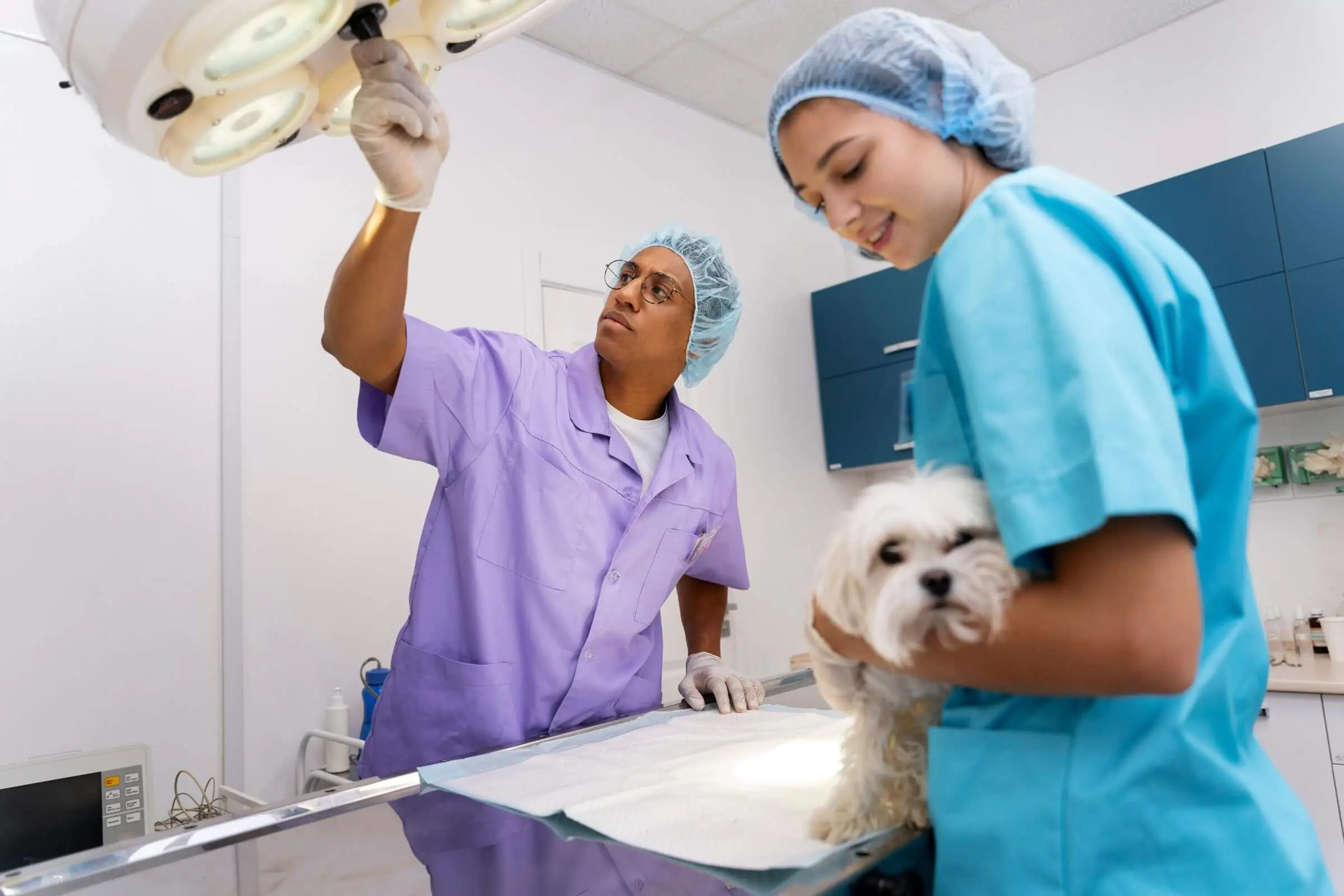 Clínica veterinária 24h: quando pode salvar a vida do seu pet, clínica veterinária 24h