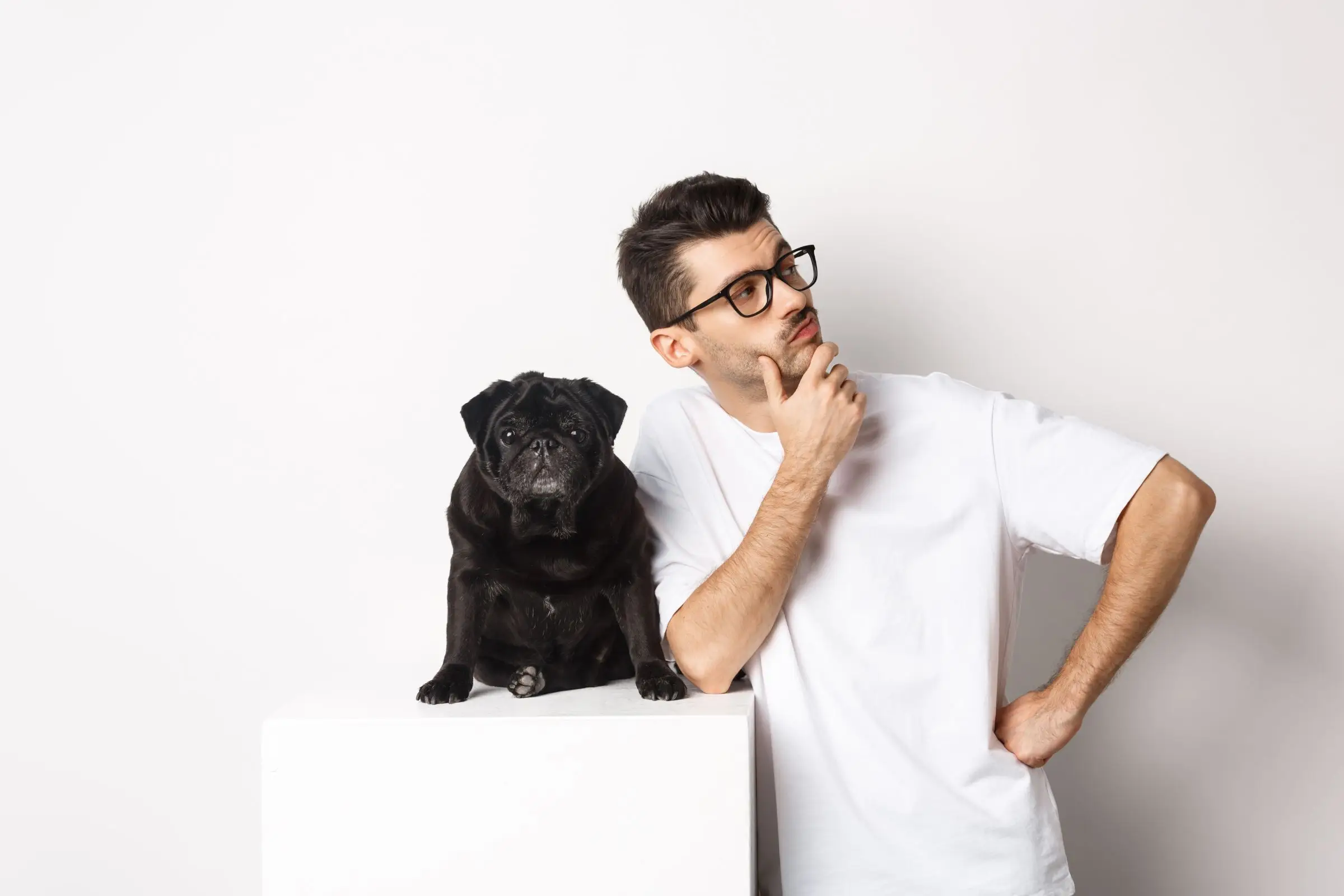 Diferença entre clínica veterinária e hospital veterinário, clínica veterinária 24h