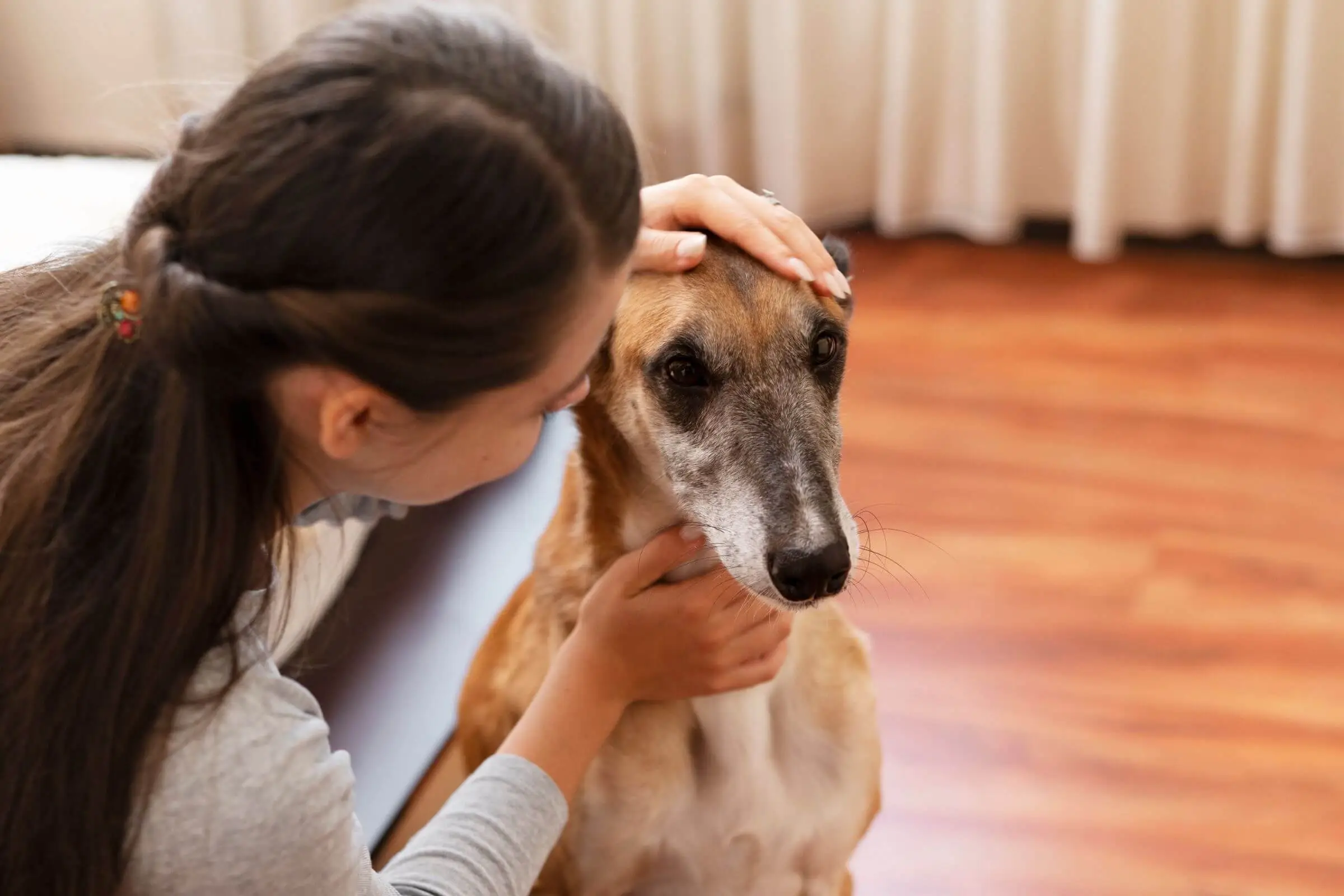 Como agir quando o pet está com dificuldade de respirar, clínica veterinária 24h