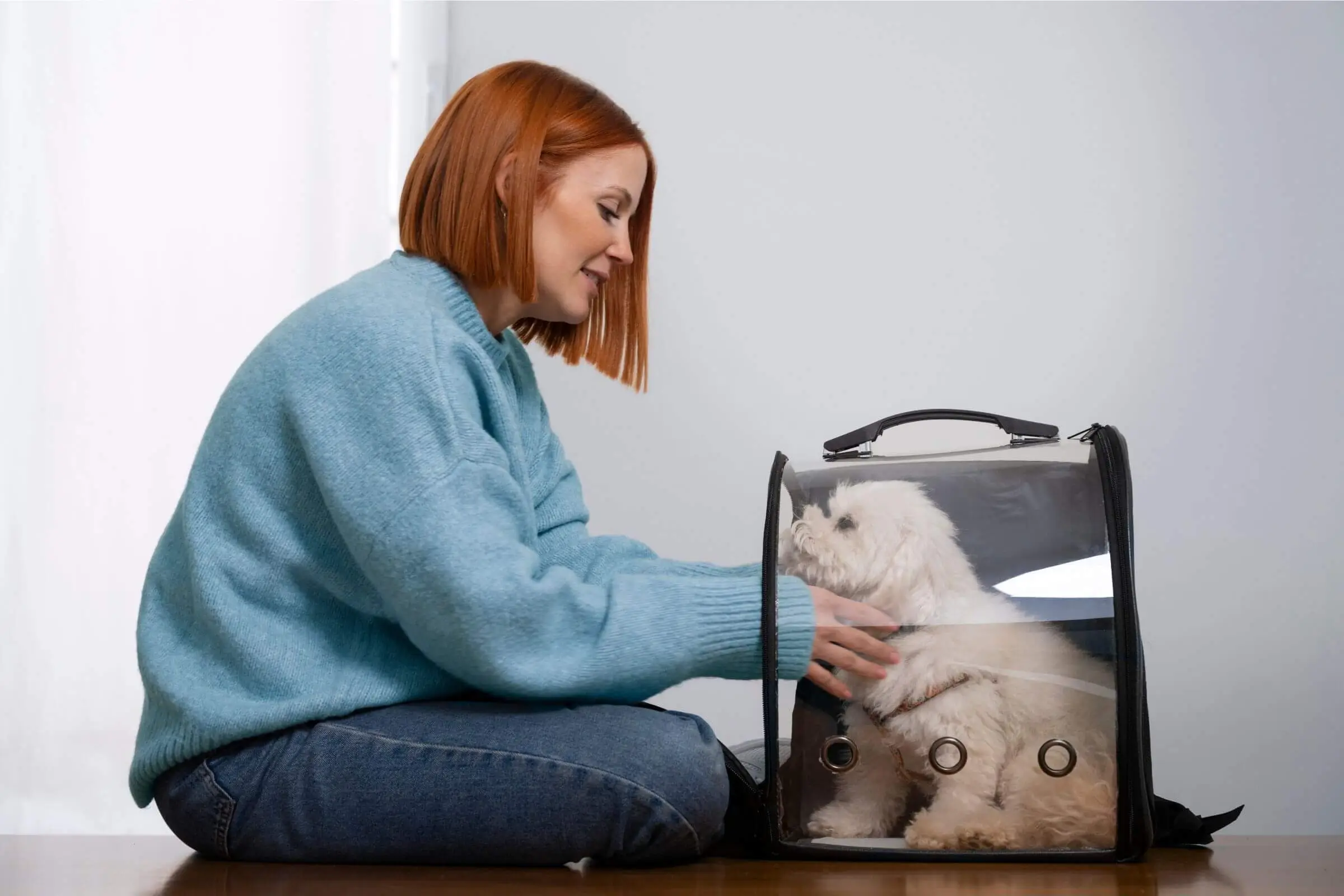 Como preparar o pet para a primeira consulta na clínica, clínica veterinária 24h