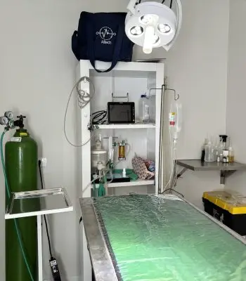Centro-cirurgico-veterinario-em-maringa-scaled.jpg