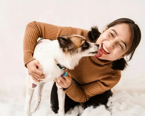 Como o pet demonstra amor pelo tutor? clínica veterinária 24h