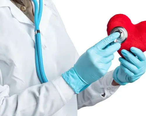 Quais exames meu pet cardíaco deve fazer regularmente? clínica veterinária 24h