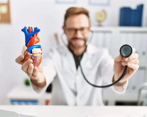 Quando procurar um cardiologista veterinário? clínica veterinária 24h