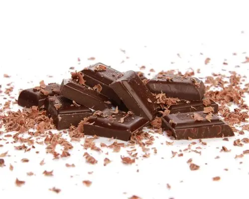 Chocolate para Cachorro: Quais os Riscos? clínica veterinária 24h