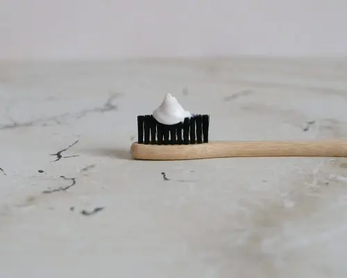 Como escovar os dentes do cachorro do jeito certo? clínica veterinária 24h