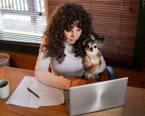 Como interpretar exames de sangue e urina do meu pet? clínica veterinária 24h
