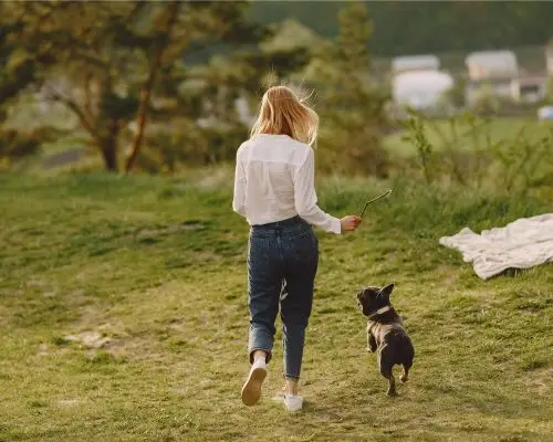 Quando posso começar a passear com meu cachorro filhote? clínica veterinária 24h