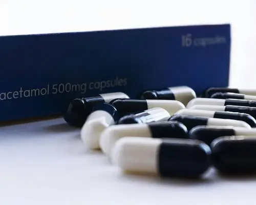 Posso dar paracetamol para cachorro? clínica veterinária 24h