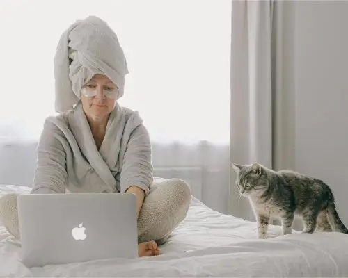 Meu pet me segue em todos os lugares: o que isso significa? clínica veterinária 24h