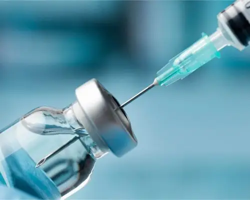 Quanto custa vacina de gato filhote em 2025 em Maringá? clínica veterinária 24h