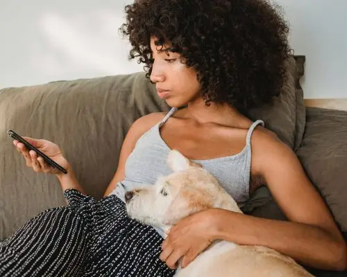 O que avaliar antes de escolher uma clínica veterinária, clínica veterinária 24h