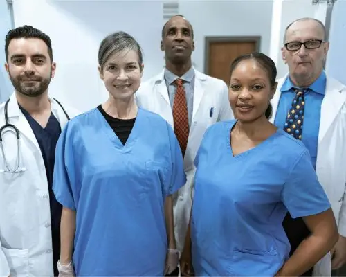 Equipe multiprofissional em hospital veterinário: vantagens, clínica veterinária 24h